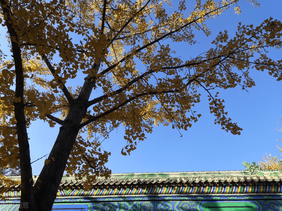 《我与地坛》好的文字与写作 死亡与积极心理学